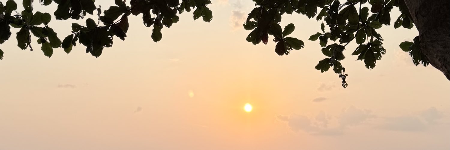 shompoosks's profile banner image