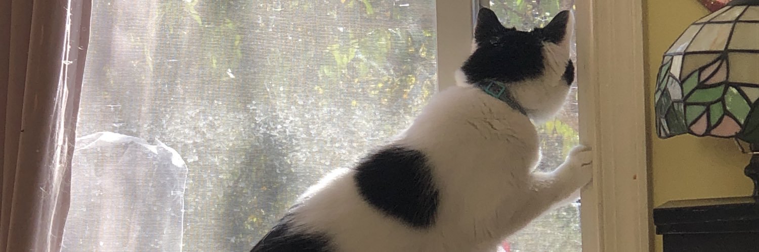 yuurmunchkin's profile banner image