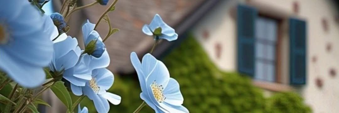 Catherine Wanderpool banner