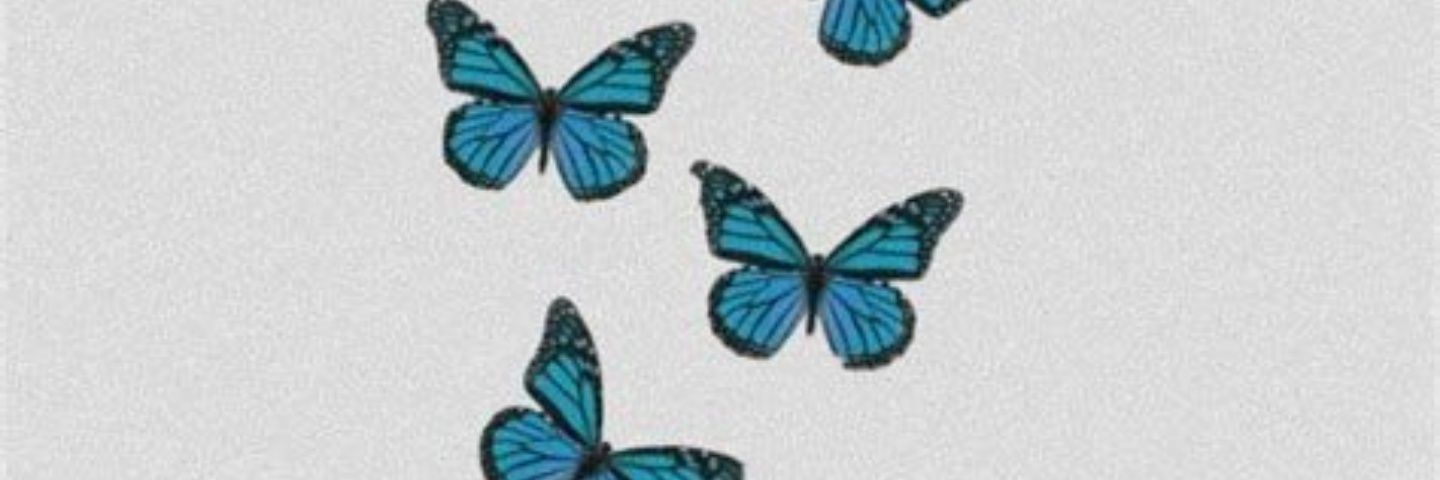 AgustinaAznar's profile banner image