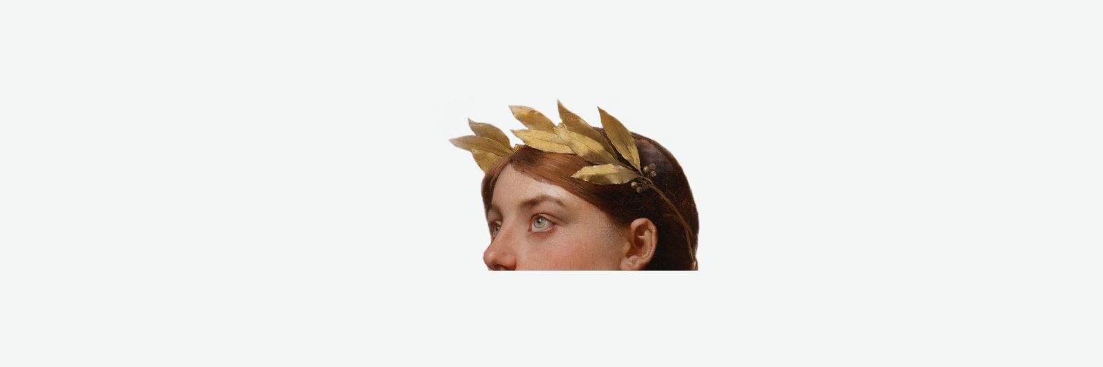 tulipfever__'s profile banner image