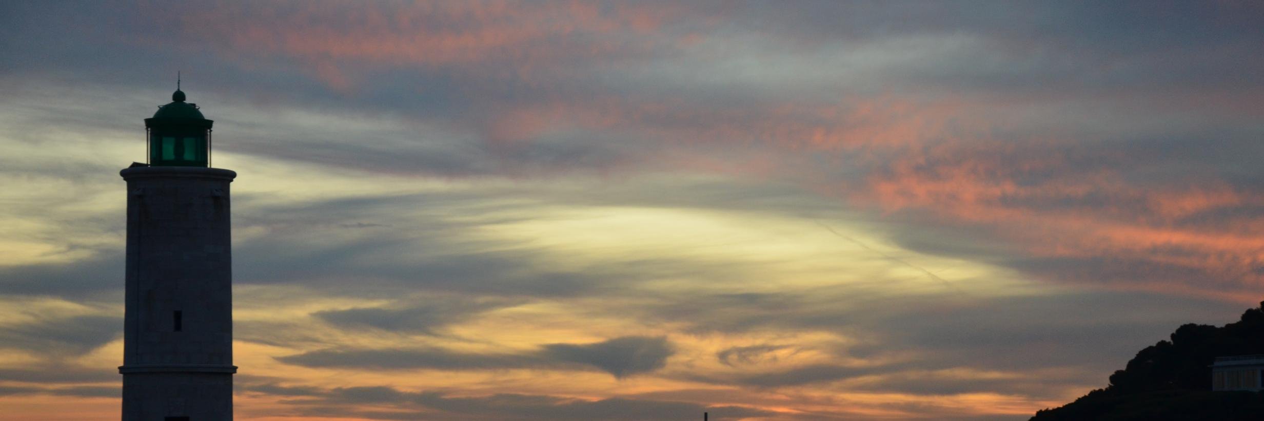 Mathilde 🌱 banner