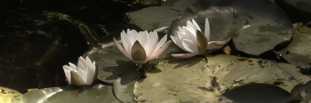 nana!! justb ver. banner