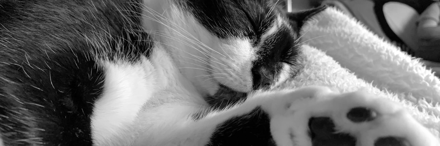 taylordull99's profile banner image