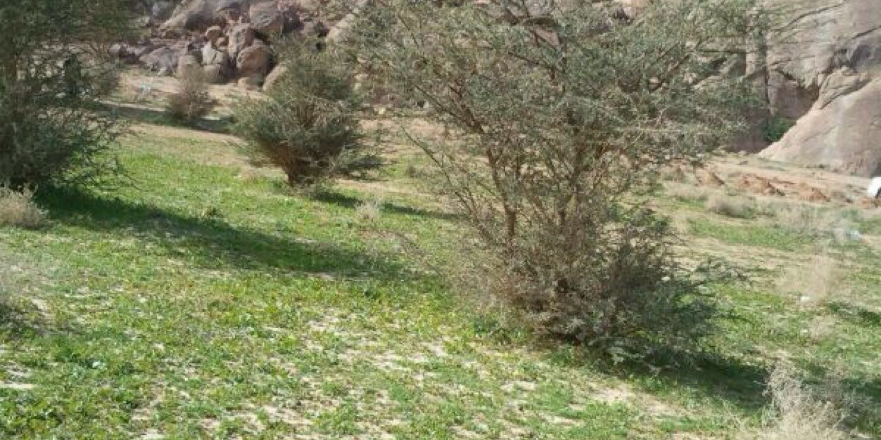 mansor9110's profile banner image