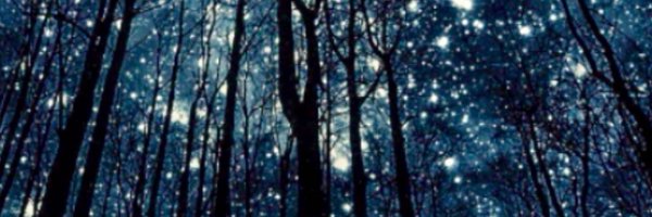 mwwmanagement Profile Banner