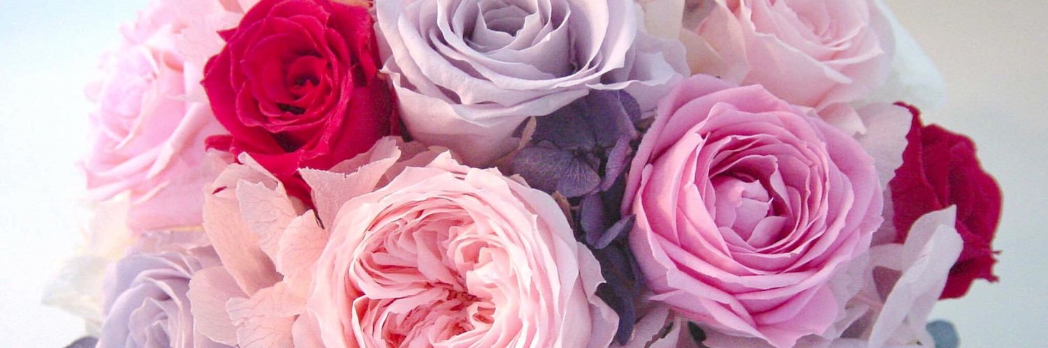 blancheur（ブランシュール）'s banner