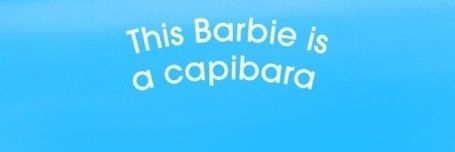harry el castor banner