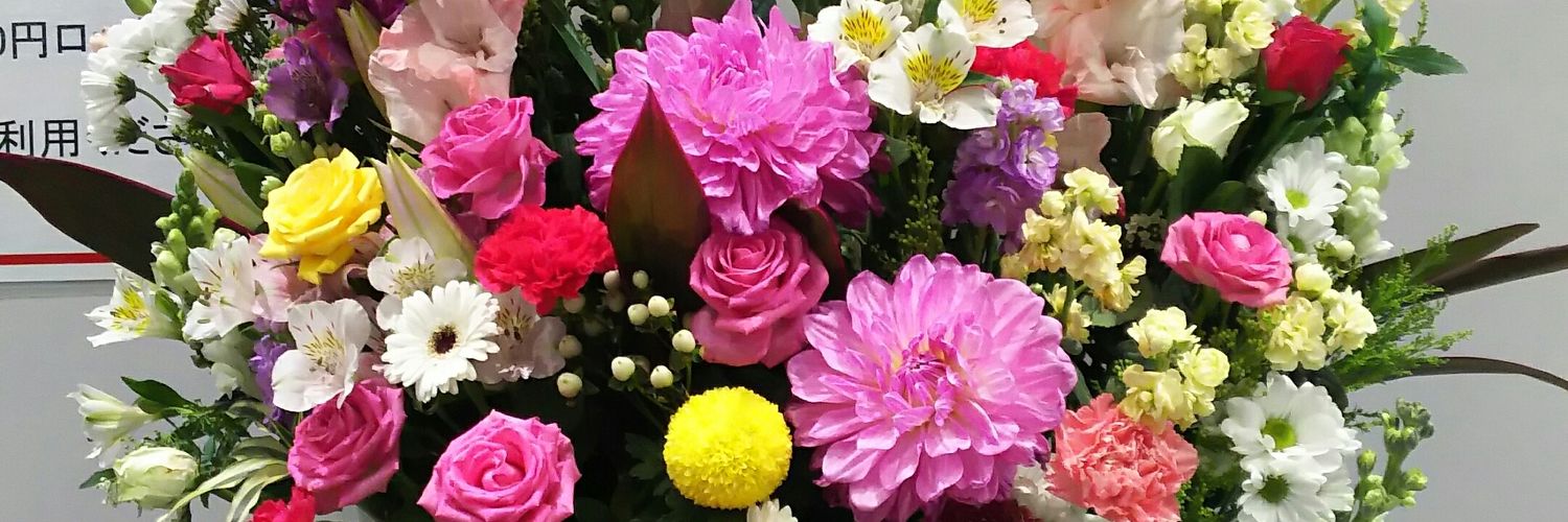 mana_chiro's profile banner image