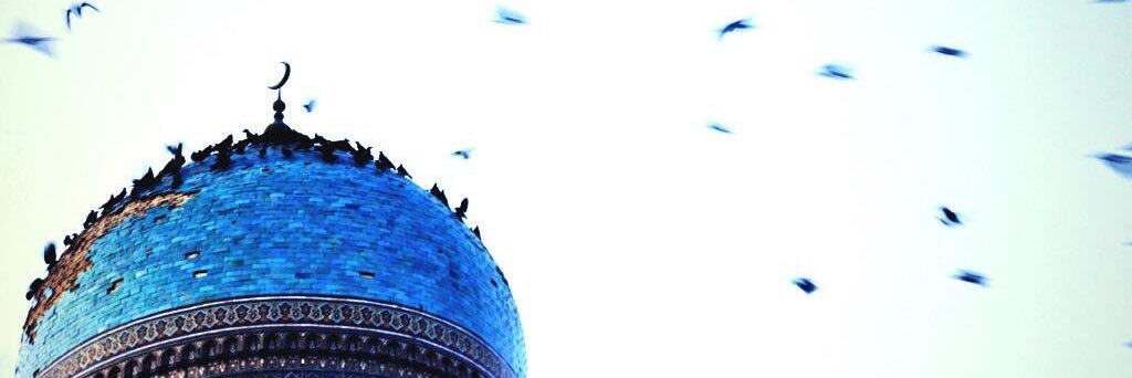 Ayşe Seyyide, PhD banner