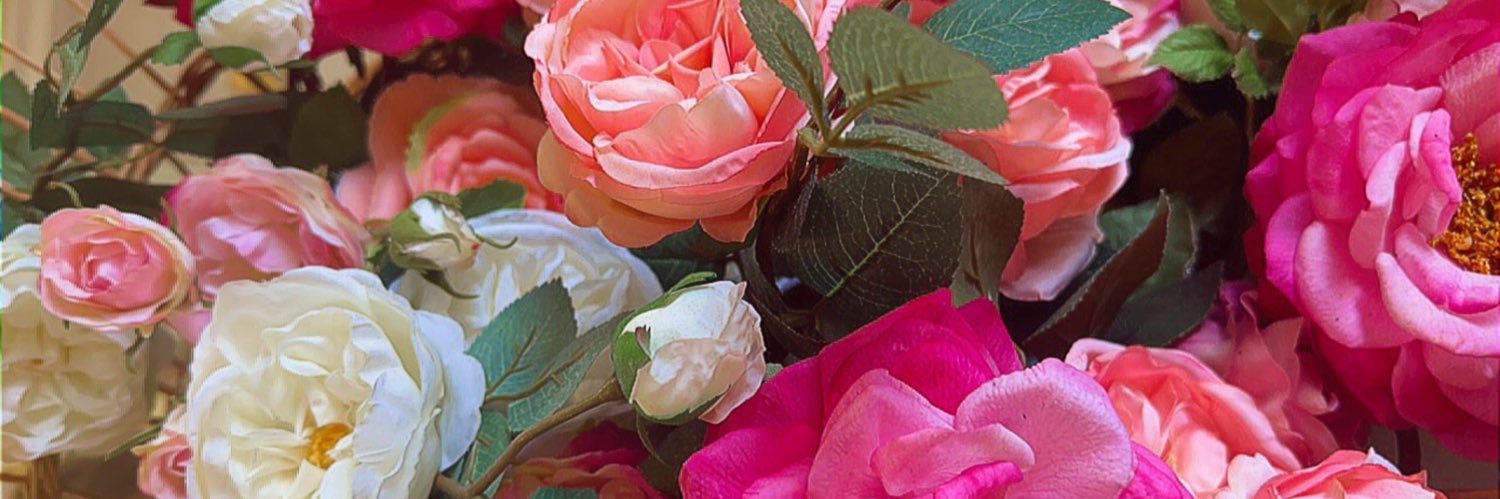 rosembannon's profile banner image