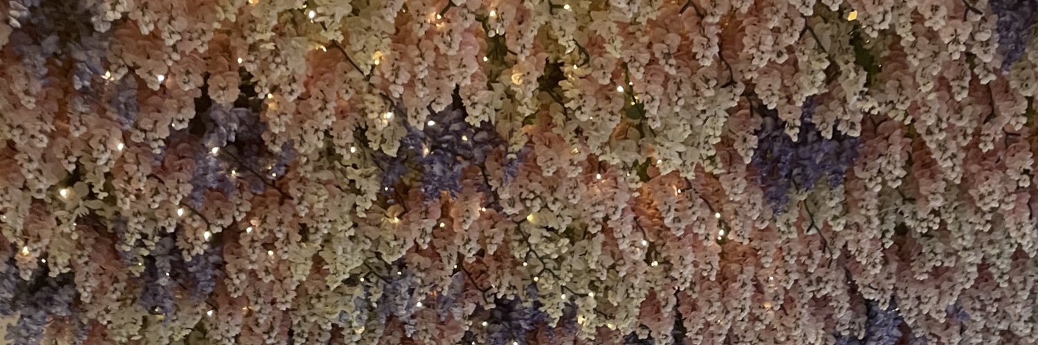 lovxise's profile banner image