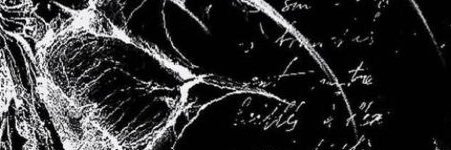 melt banner