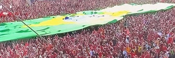 #FreePalestine 🚩🇵🇸 🌵⚓️🚘🧙🏻🐉🐨 banner