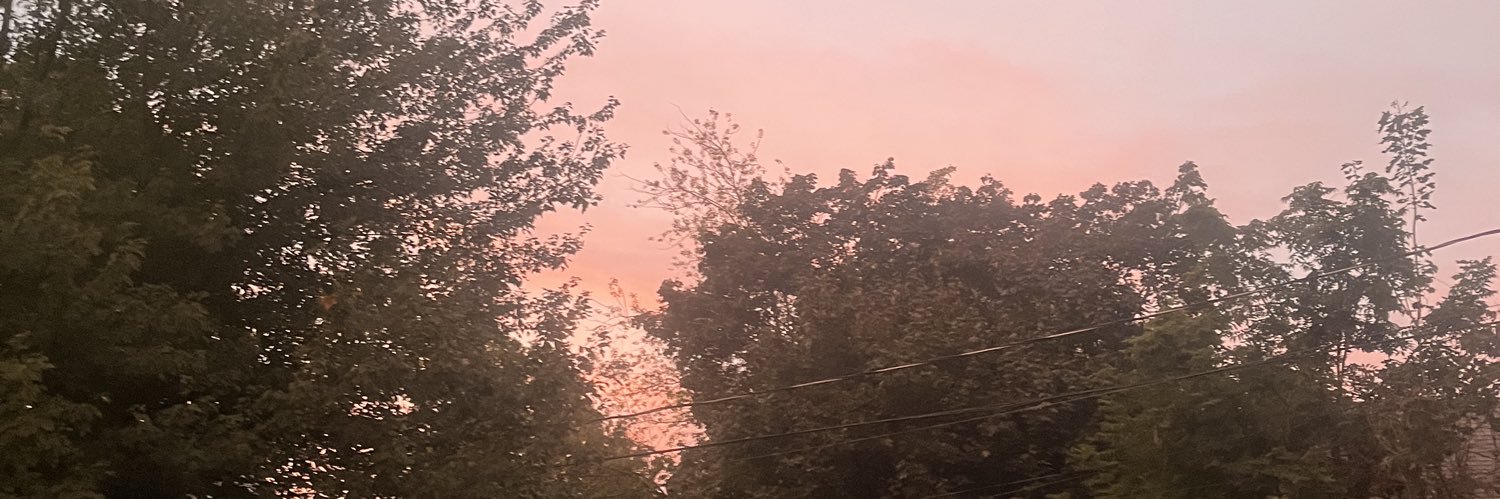 ThunderFox 🍉 banner
