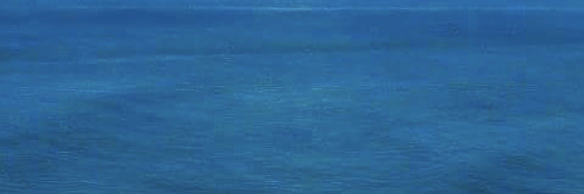 jasailtwi's profile banner image