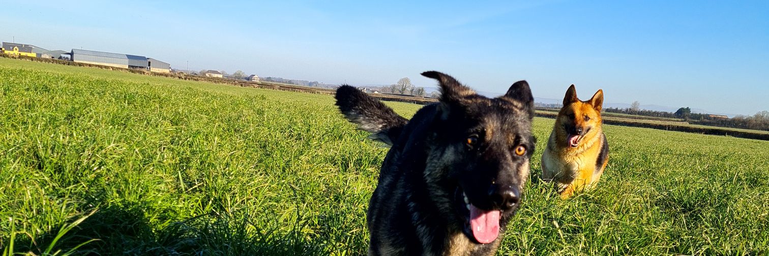 louiseoconnor1's profile banner image