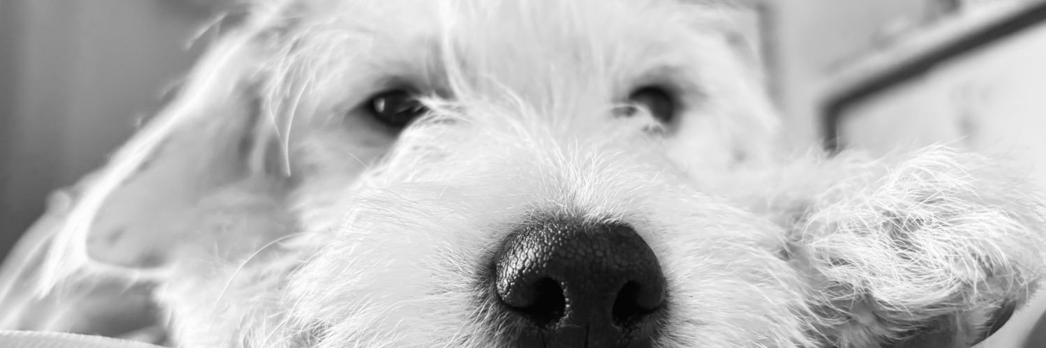 bbelu9's profile banner image