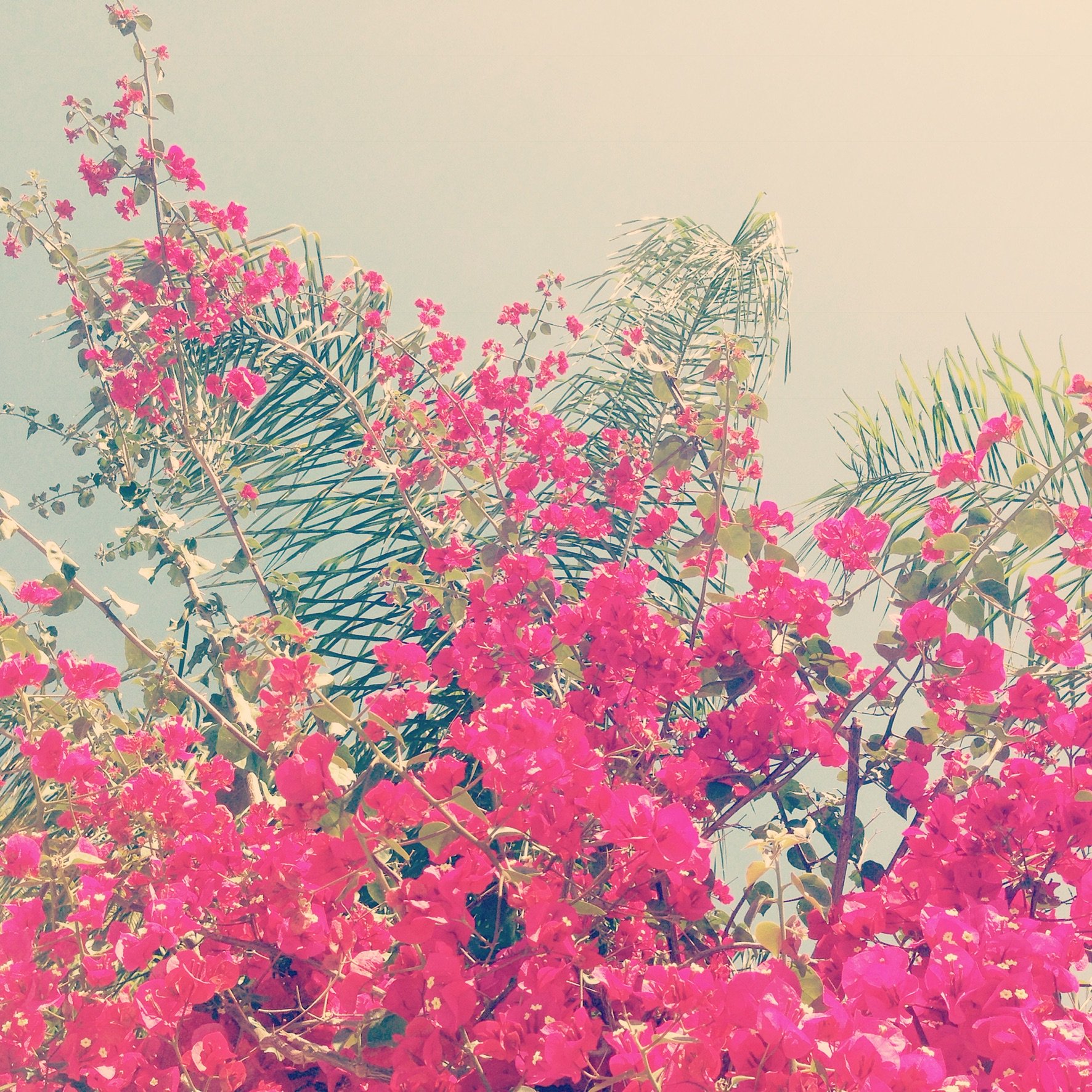 Ingrid Lea banner