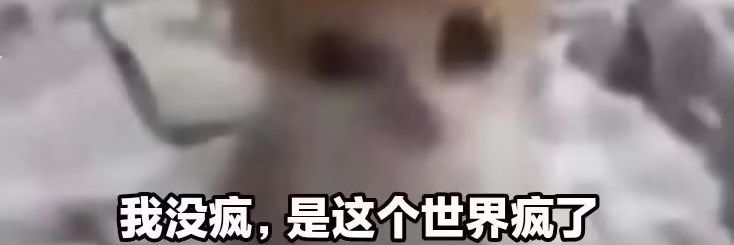 lekeaaa's profile banner image