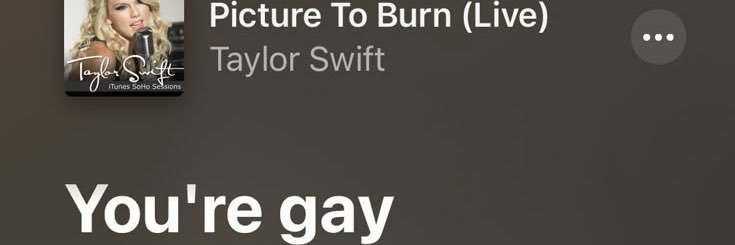 Taylightzone13's profile banner image