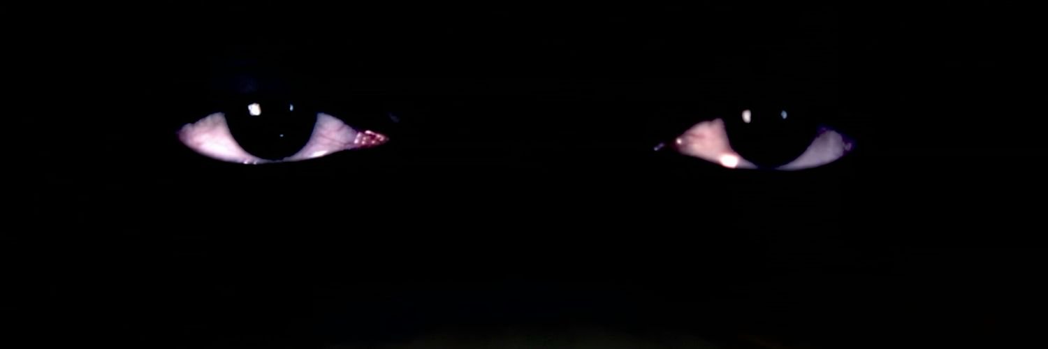 JairoAlbertoSu4's profile banner image