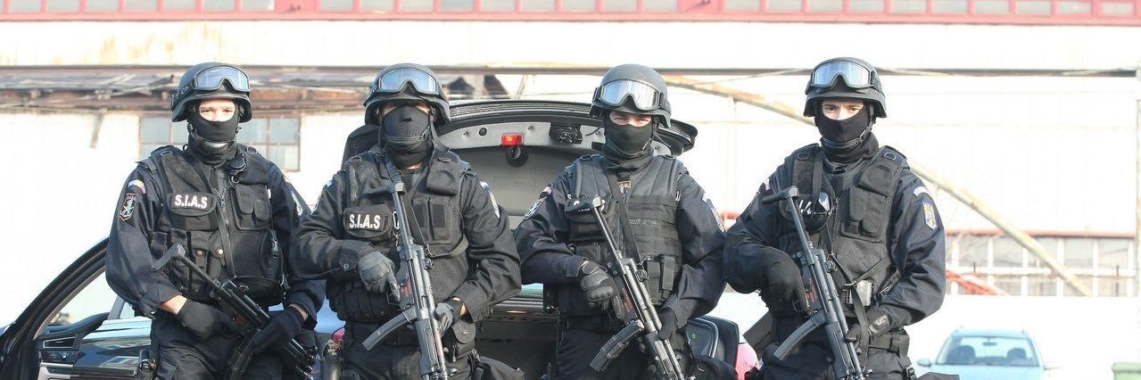 TheRomanianPolice banner