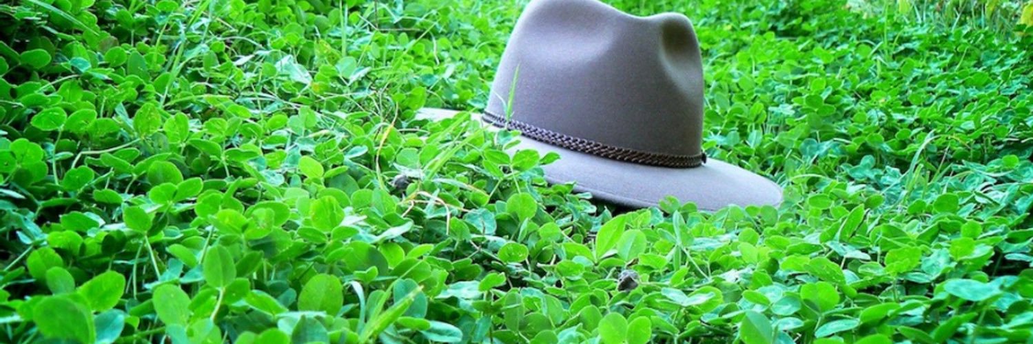 robcraig's profile banner image