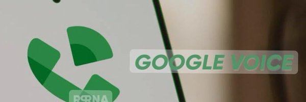 Google voice provider Profile Banner