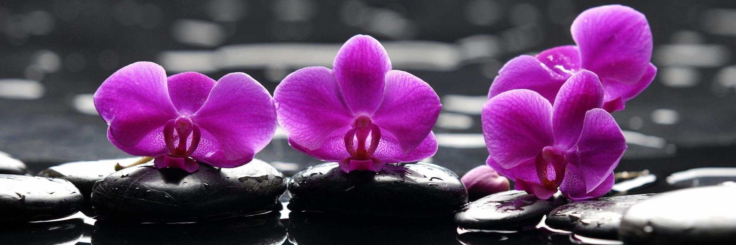 AlejandraArmas5's profile banner image