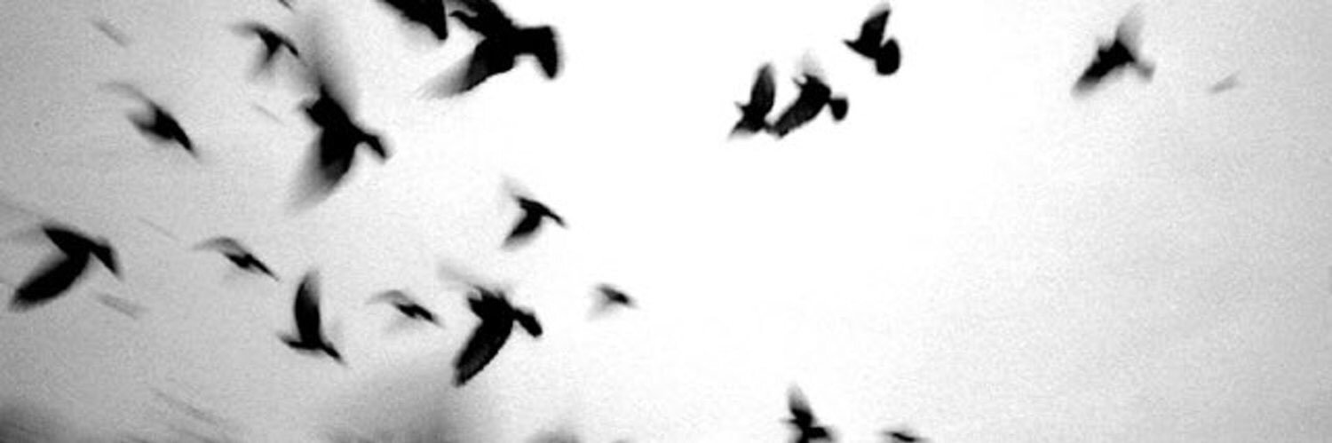 foolforjaan's profile banner image