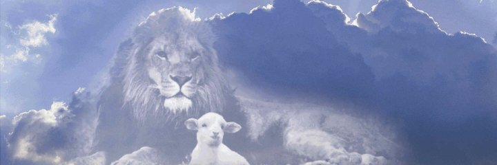 OspreyOrnery's profile banner image