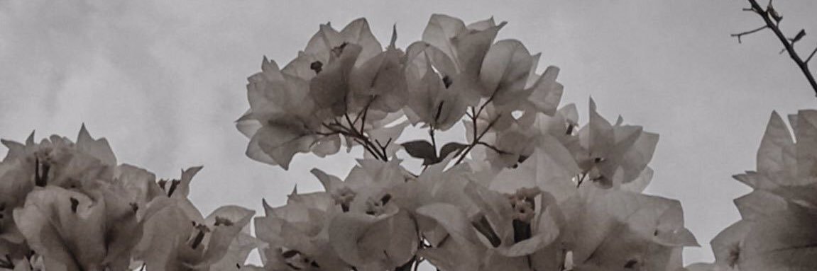 bentbaba1990's profile banner image