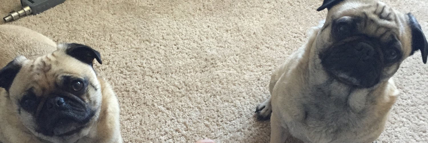 KurtIsDaBest's profile banner image