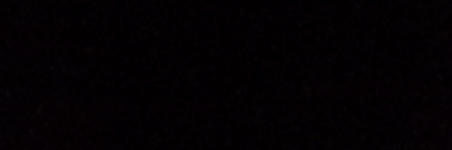 bie banner