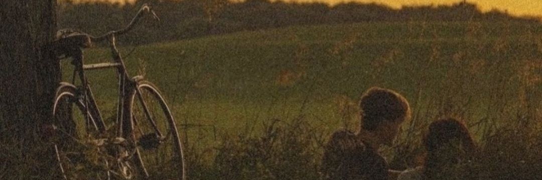 Melissa Wolf banner