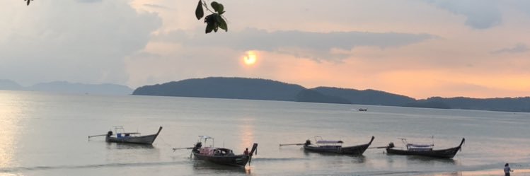 julie lawrenson banner