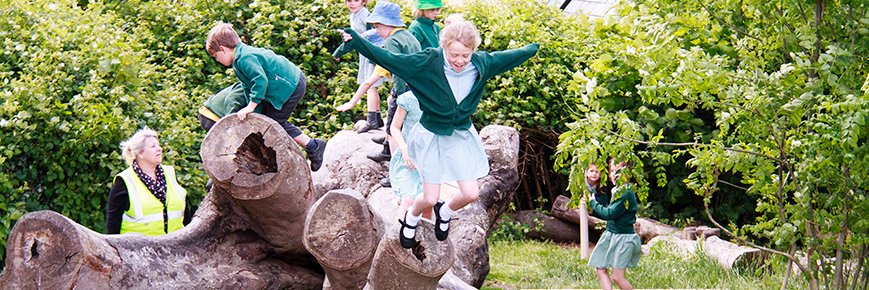 St Stephens Primary banner