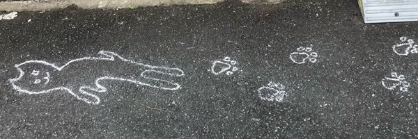 belpingk Profile Banner