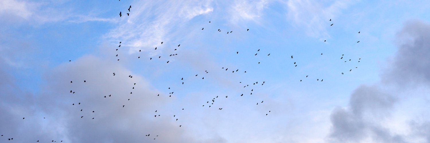 jacomago's profile banner image