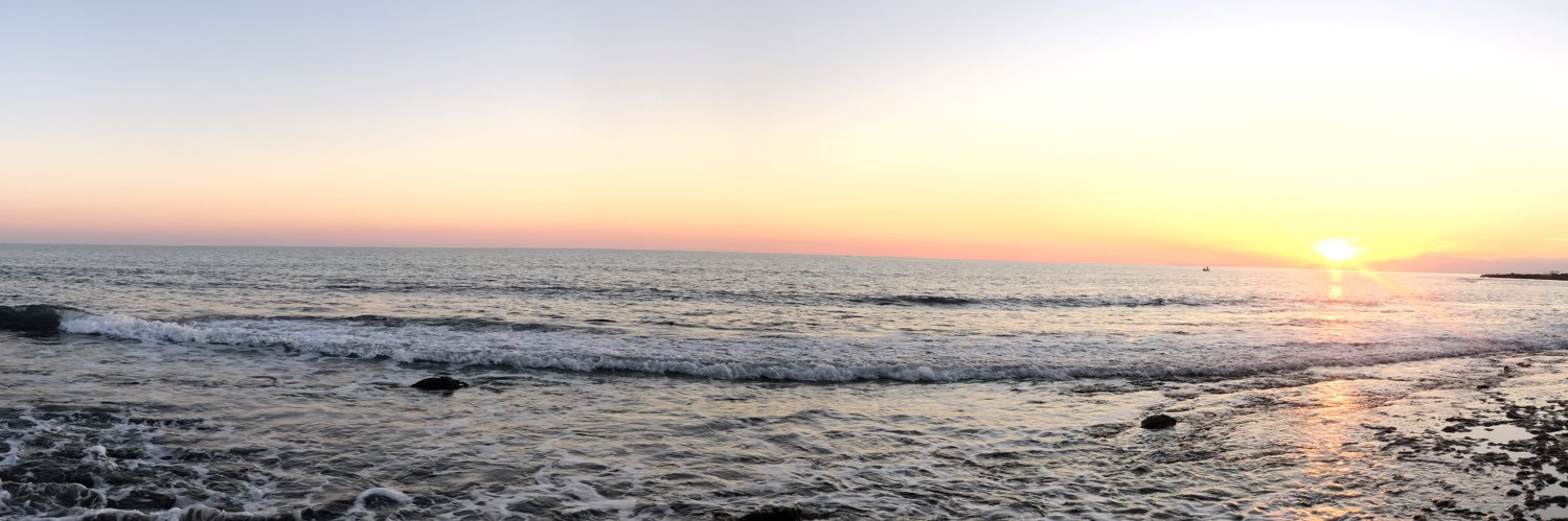 Mrgooseegg's profile banner image