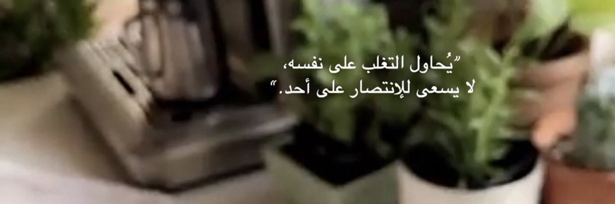 eeidamurfat's profile banner image