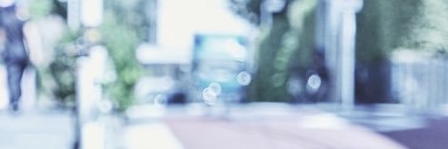 소서🌿 banner