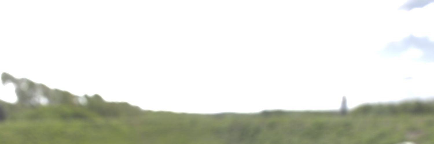 School of Wild Listening banner