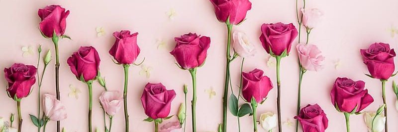 LamiaaKsdq11650's profile banner image