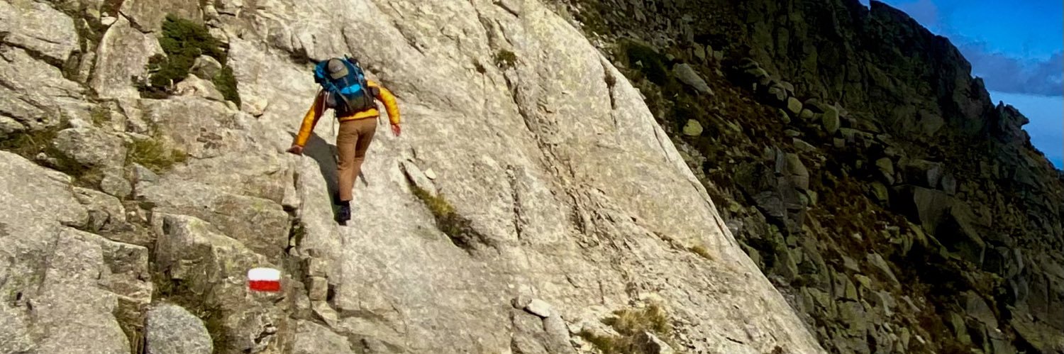 Matteo Jorgenson banner