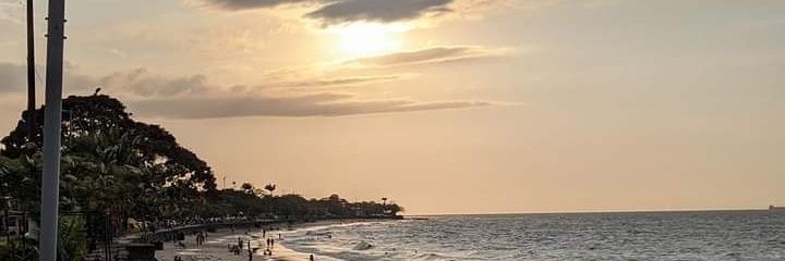LanoMosqueiro's profile banner image