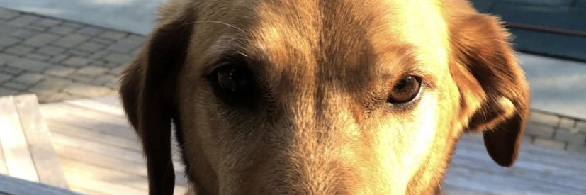 RFergie21's profile banner image