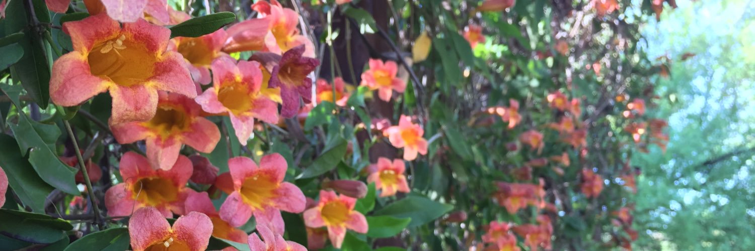 nalinip's profile banner image