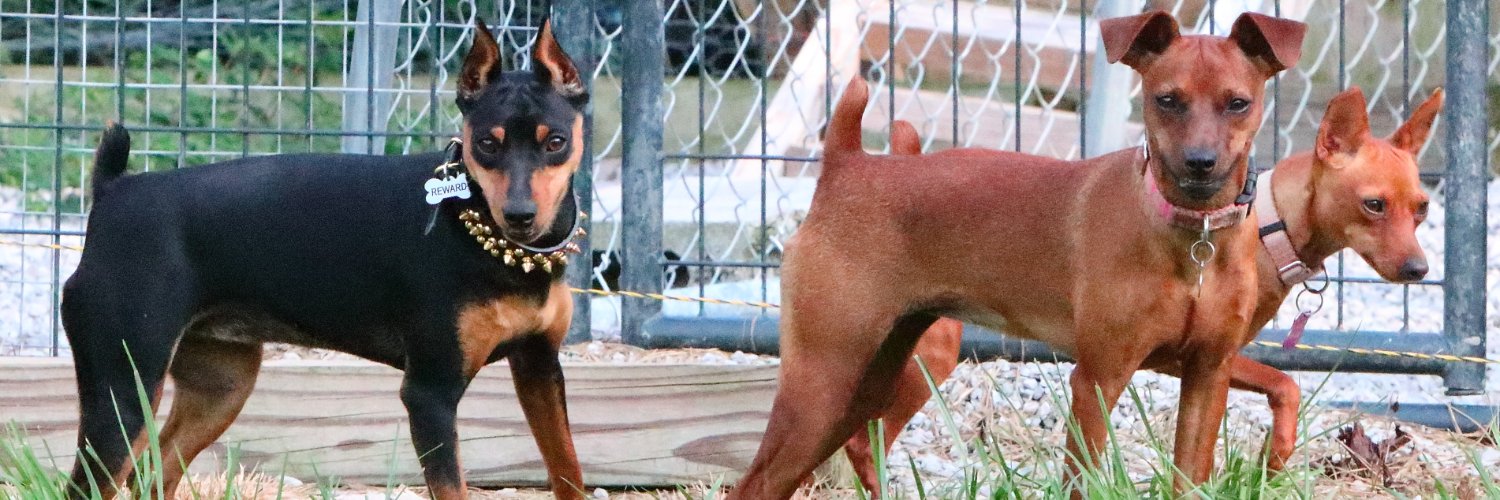 TruckerKennel's profile banner image